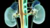 Foto de Dr. Fco. Ren Zamora Varela - Urologa y Mnima Invasin