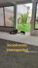 foto de Club Canino Jason